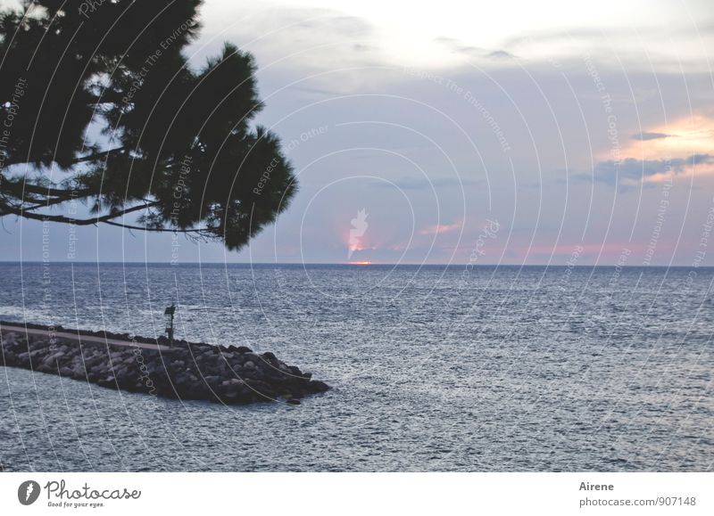 ob Morgenrot, ob Abendschimmer... Ferien & Urlaub & Reisen Sommerurlaub Meer Landschaft Luft Wasser Himmel Horizont Sonnenaufgang Sonnenuntergang Baum Pinie