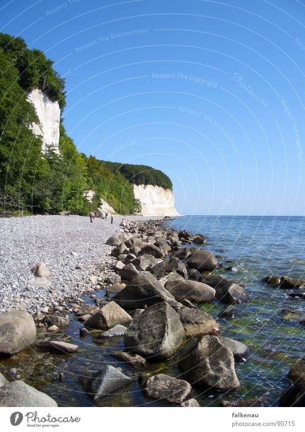 Ostseestrand Klippe Strand Sassnitz Rügen Kies Meer Sommer Ferien & Urlaub & Reisen Küste Kreide Felsen