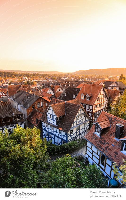 Über den Dächern Tourismus Sightseeing Städtereise Wolkenloser Himmel Sonnenaufgang Sonnenuntergang Frühling Sommer Herbst Schönes Wetter Baum Stadt