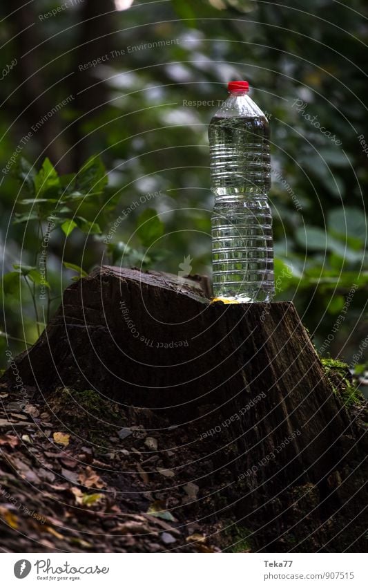 Trinkwasser #4 Getränk Leben Sommer Natur Wasser springen Coolness rein Farbfoto Außenaufnahme