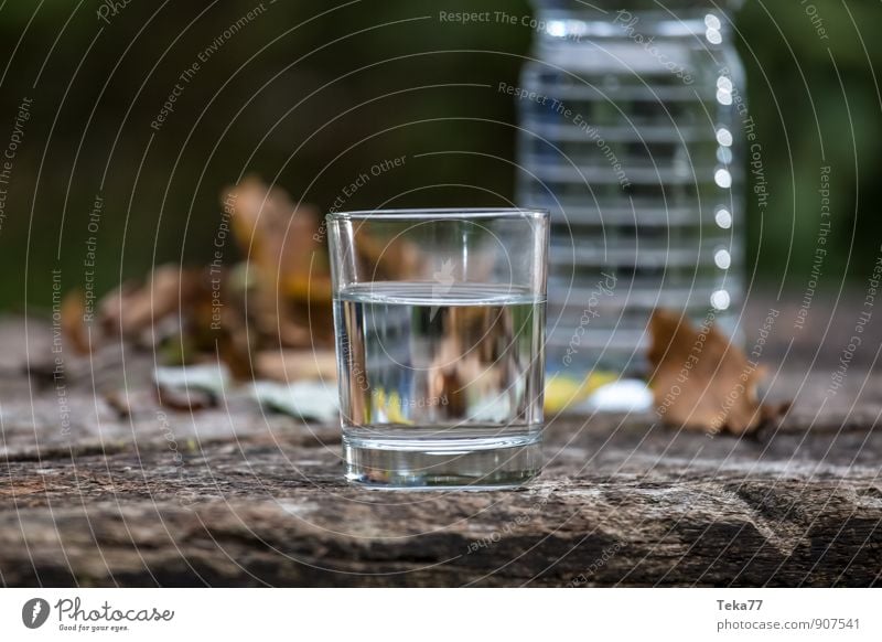 Trinkwasser #1 Getränk trinken Leben Sommer Sport Natur Wasser springen Coolness rein Farbfoto Außenaufnahme Menschenleer