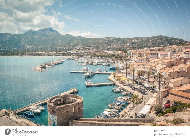 Calvi, Korsika Kultur Landschaft Erde Luft Wasser Schönes Wetter Küste Bucht Meer Insel Fischerdorf Hafenstadt Altstadt Sehenswürdigkeit Ferne frei schön