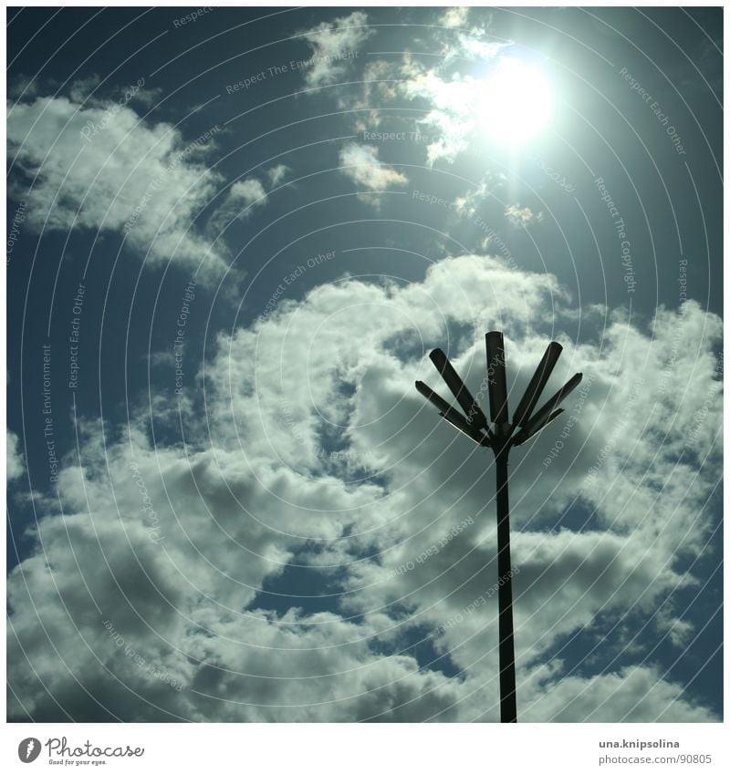 fleur Sonne Himmel Wolken Blüte Verkehrswege blau weiß Laterne Straßenbeleuchtung Beleuchtung Licht