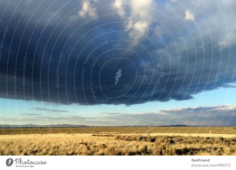 Sturm Landschaft Pflanze Erde Luft Himmel Wolken Gewitterwolken Gras Sträucher Aggression ästhetisch gigantisch Stars and Stripes Wilder Westen Farbfoto