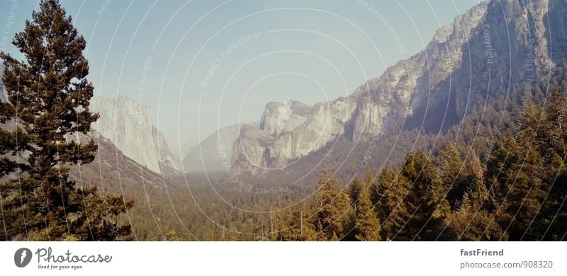 Wunderschön Umwelt Natur Landschaft Pflanze Sommer Baum Hügel Berge u. Gebirge Gipfel ästhetisch Ferne natürlich Kraft Yosemite NP Bergkette Berghang Wald