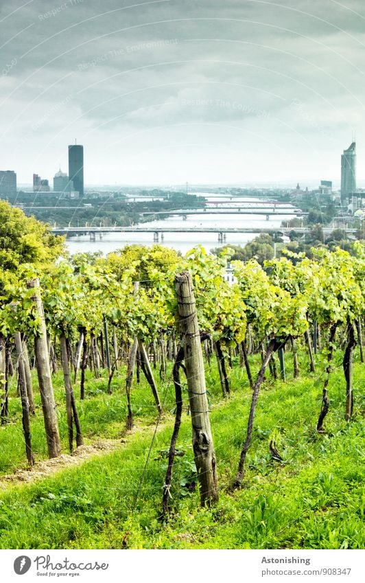 die Donau in Wien Umwelt Natur Landschaft Pflanze Luft Himmel Wolken Horizont Herbst Wetter Unwetter Baum Sträucher Hügel Fluss Donauinsel Österreich Stadt