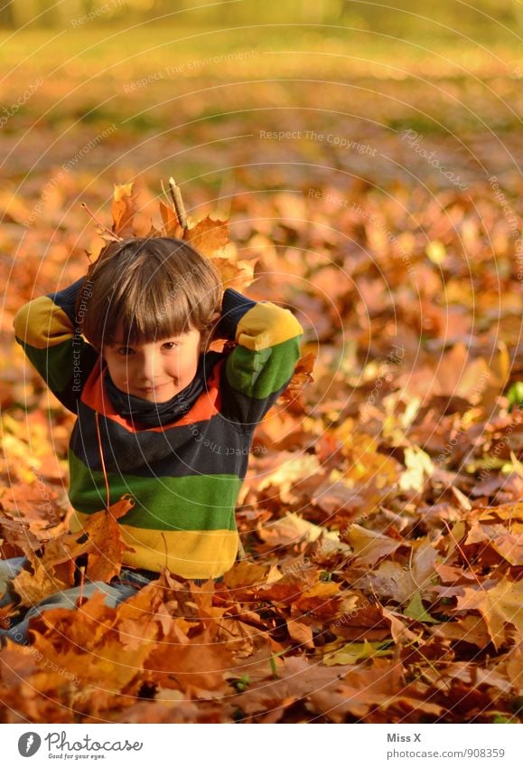 Wurf Freizeit & Hobby Spielen Kinderspiel Garten Mensch Kleinkind Junge Kindheit 1 1-3 Jahre 3-8 Jahre Herbst Blatt Wald Lächeln sitzen werfen Gefühle Stimmung