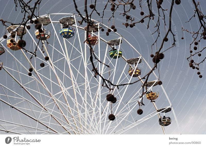 Schenny prefers colon & right parenthesis (Alt 58 + Alt 41) :( Jahrmarkt Riesenrad Fahrgeschäfte Platane Schwindelgefühl Sonnenschirm Regenschirm Schirm