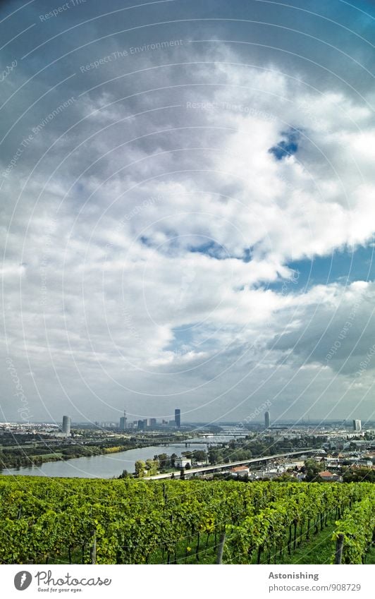 Wien an der Donau Umwelt Natur Landschaft Pflanze Himmel Wolken Horizont Herbst Wetter Baum Sträucher Hügel Fluss Österreich Stadt Hauptstadt Stadtrand Haus