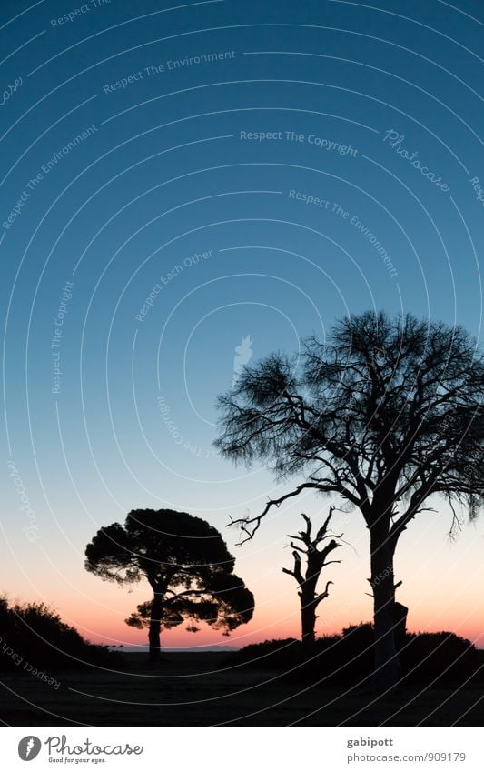 Trio harmonisch Wohlgefühl Zufriedenheit Sinnesorgane Erholung ruhig Meditation Sommer Sommerurlaub Sonne Strand Meer Natur Landschaft Urelemente