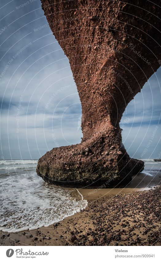 Auf großen Füßen .... Umwelt Natur Landschaft Urelemente Erde Sand Wasser Wellen Küste Strand Bucht Meer entdecken festhalten außergewöhnlich fantastisch