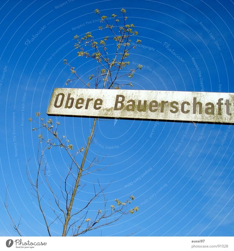 ...der die Kartoffeln ranschafft Feld Baum Straßennamenschild Himmel blau oben obere Schilder & Markierungen Strapßenname