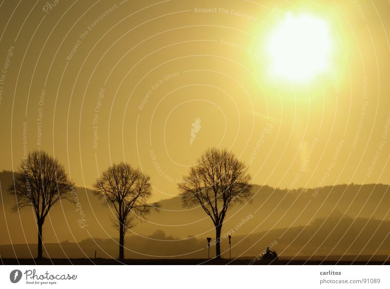 aber der fährt Roller! Allee Landstraße Bundesstraße Morgen Morgennebel Sonnenaufgang Gegenlicht blenden Baum Silhouette Hügel Abstufung Kleinmotorrad