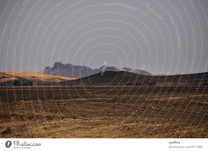 Mars Berge u. Gebirge Wüste Sahara Merzouga Marokko außergewöhnlich steinig Marslandschaft Düne bedrohlich Farbfoto Außenaufnahme Textfreiraum oben