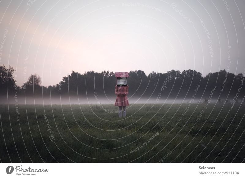 madhouse Mensch feminin Frau Erwachsene 1 Umwelt Natur Landschaft Himmel Nebel Garten Park Wiese Kleid stehen kalt verrückt Gefühle bizarr Kreativität skurril