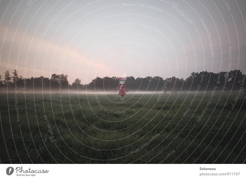 Madhouse, alleinstehend Mensch Frau Erwachsene 1 Umwelt Natur Landschaft Himmel Sonnenaufgang Sonnenuntergang Sonnenlicht Nebel Wiese Feld Wald Kleid Maske