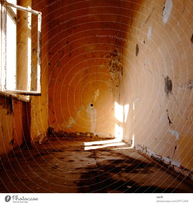 ...oder bei OBI Häusliches Leben Wohnung Renovieren Innenarchitektur Raum Wohnzimmer Kinderzimmer Schlafzimmer Haus Ruine Architektur Mauer Wand Fenster alt