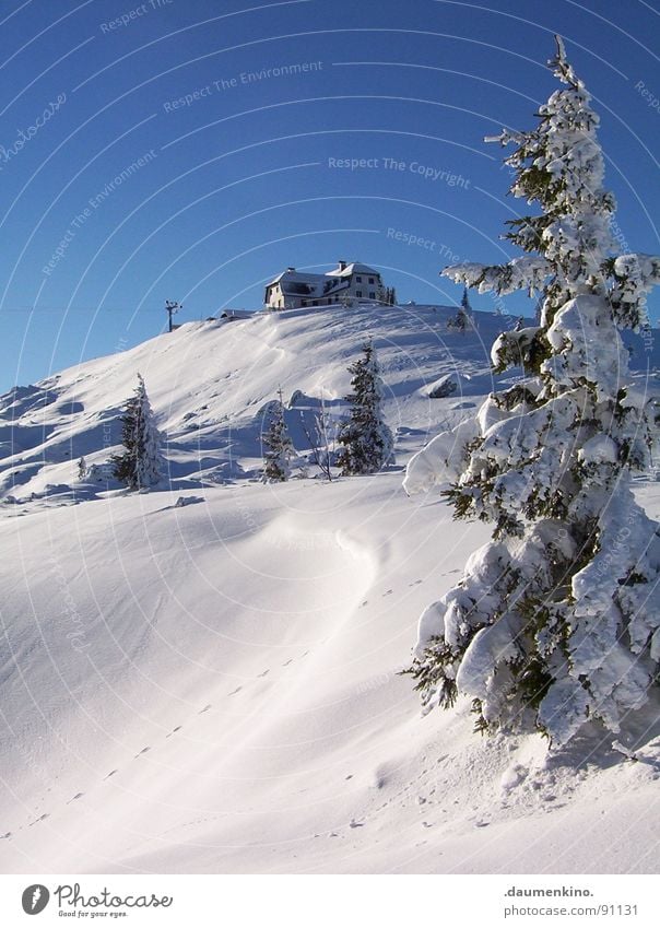 Urbanität kalt weiß nass Haus Winter Baum Berghang Einsamkeit Ausdauer anstrengen Ereignisse Berge u. Gebirge Bergsteigen Schnee einzeln hoch