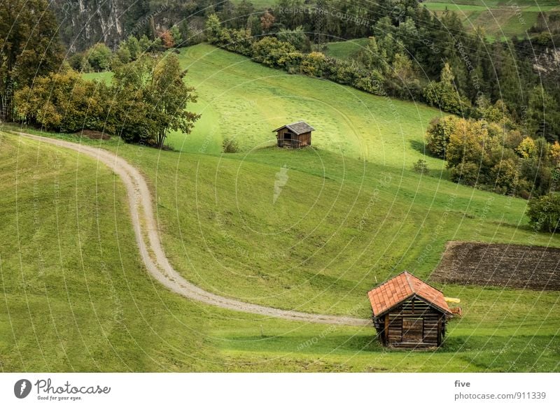 Arzl Umwelt Natur Landschaft Pflanze Erde Herbst Wetter Schönes Wetter Baum Sträucher Blatt Grünpflanze Wiese Feld Wald Hügel Felsen Menschenleer Haus Hütte