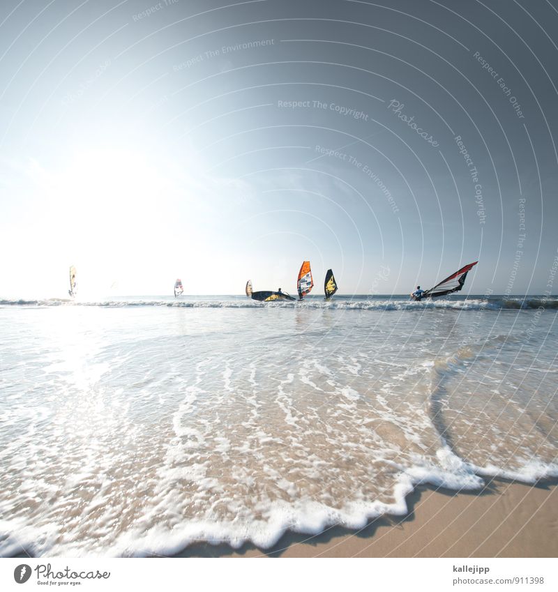 ich will zurück nach westerland Sport Fitness Sport-Training Wassersport Sportler Sportveranstaltung Menschengruppe fahren Surfen Sylt Slalom Segel Windsurfing