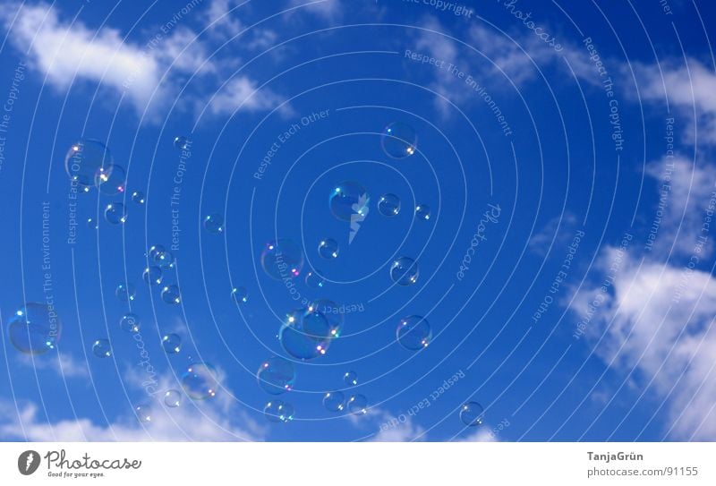 Seifenblasen II Luft Wolken Spielzeug träumen schimmern mehrfarbig glänzend weiß Kindheitserinnerung Erinnerung Schweben Freude Himmel Farbe lustig Glück blau