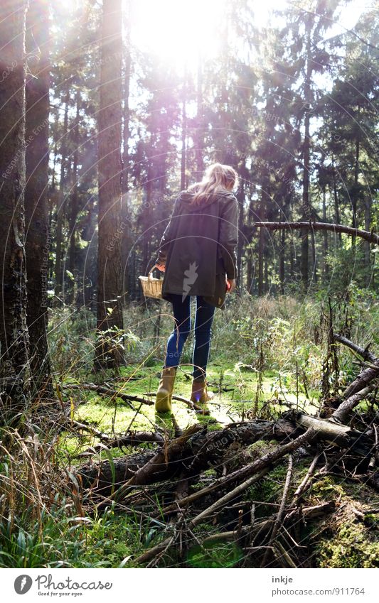 in die Pilze gehen Lifestyle Mädchen Junge Frau Jugendliche Leben Rücken 1 Mensch 18-30 Jahre Erwachsene Umwelt Natur Landschaft Sonnenlicht Sommer Herbst