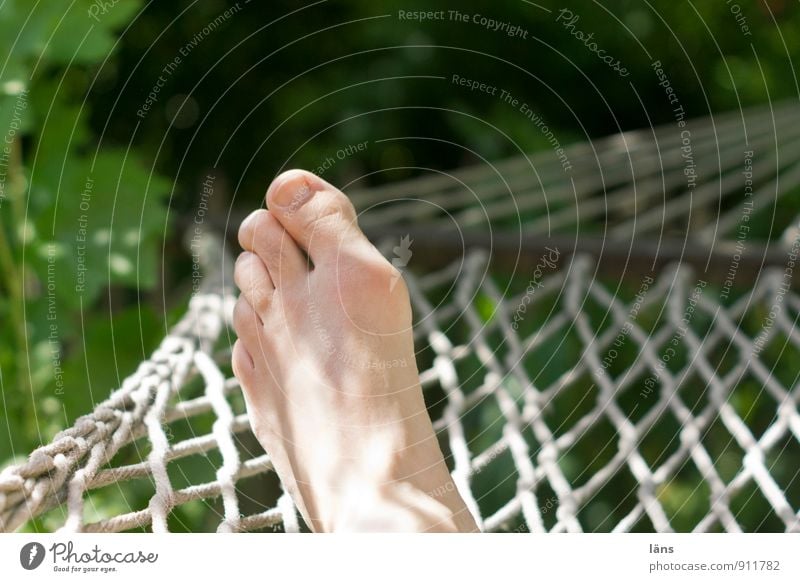 abhängen Wellness Wohlgefühl Zufriedenheit Erholung Sommer Sommerurlaub Sonne Sonnenbad Mann Erwachsene Leben Fuß 1 Mensch Umwelt Natur Schönes Wetter liegen