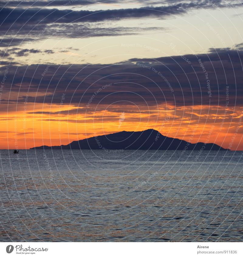 Lichtstreuung rot Landschaft Urelemente Wasser Himmel Wolken Sonnenaufgang Sonnenuntergang Meer Insel Ischia leuchten dunkel maritim blau orange Romantik