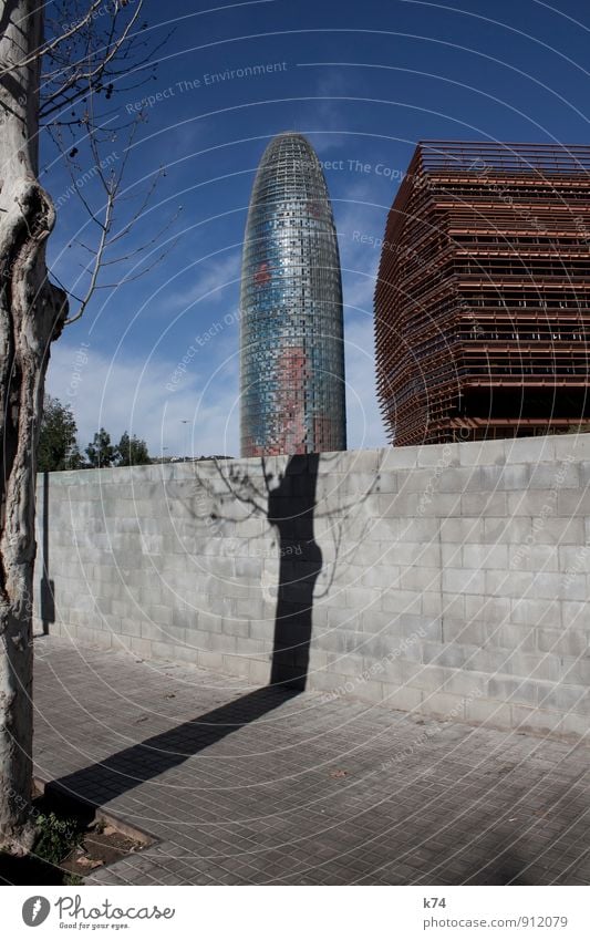 Torre Agbar Himmel Baum Barcelona Hochhaus Gebäude Architektur Bürogebäude Mauer Wand Wahrzeichen Stein Beton Glas Metall glänzend groß hoch modern Stadt blau