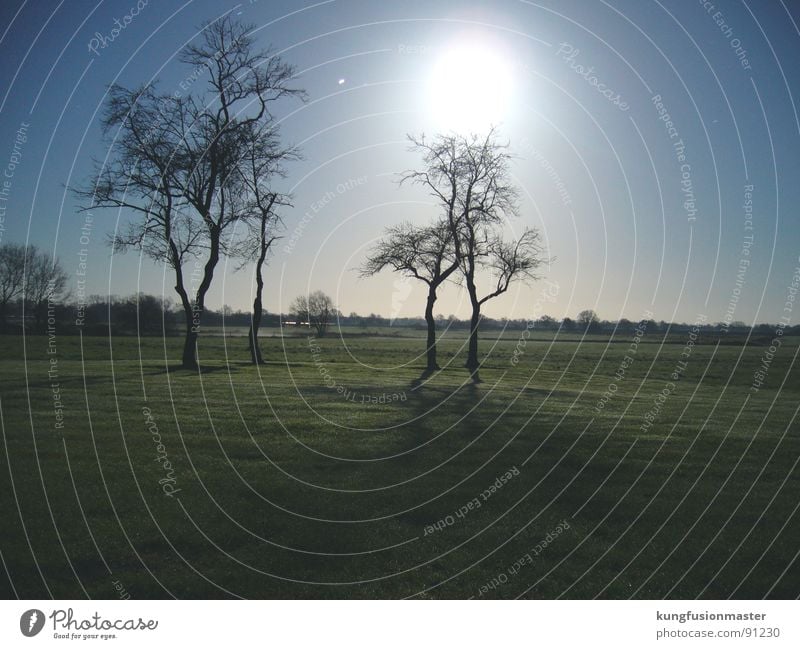 mondnacht im dezember Werwolf Nacht Nachtaufnahme dunkel Wiese Gras Baum Langzeitbelichtung Winter Mond Landschaft käsebrötchen deutsche savanne Niedersachsen