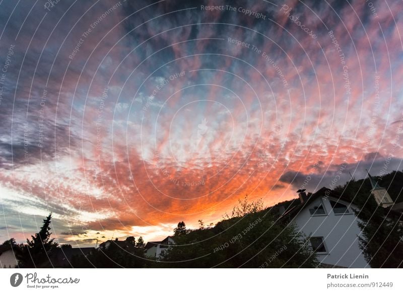 Heimat Ferien & Urlaub & Reisen Tourismus Ausflug Abenteuer Ferne Freiheit Umwelt Natur Landschaft Himmel Wolken Gewitterwolken Wetter Schönes Wetter Wald