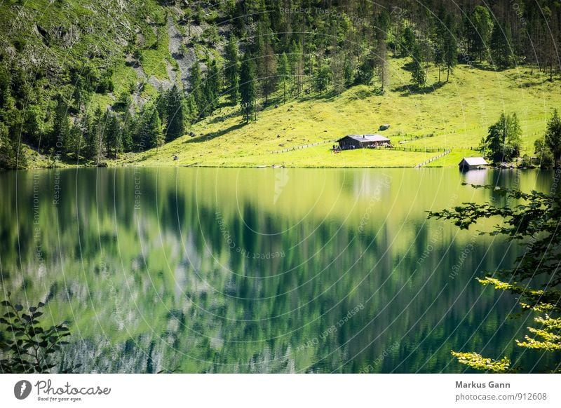 Obersee Ferien & Urlaub & Reisen Sommer Natur Landschaft Seeufer grün Stimmung ruhig Berchtesgaden Deutschland Europa Königssee Bayern Wald Hütte Erholung