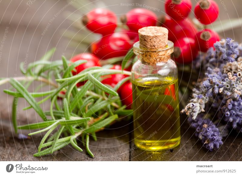 Pflanzenöl Öl Rosmarin kräuteröl Hagebutten Hundsrose Beeren Holztisch Glasflasche Lavendel Blume getrocknet Essen Foodfotografie Geschmackssinn Duft grün