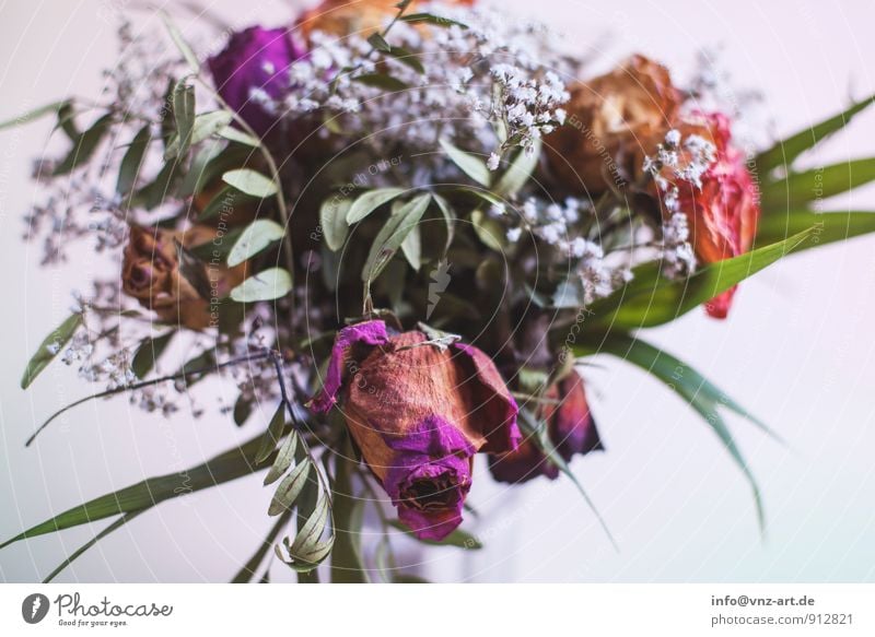 Blumenstrauß Pflanze Blatt Blüte dehydrieren welk Rosenblätter Geschenk Farbfoto Innenaufnahme Nahaufnahme Menschenleer