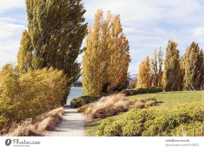 Herbsttag Umwelt Natur Landschaft Pflanze Tier Wasser Himmel Wetter Schönes Wetter Baum Gras Garten Park Wiese Seeufer Flussufer Wärme gelb gold Wind Farbfoto