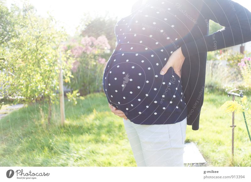 babybauch Mensch feminin Junge Frau Jugendliche Mutter Erwachsene Bauch 1 18-30 Jahre Blühend schön schwanger Vorfreude Liebe Babybauch Farbfoto Außenaufnahme