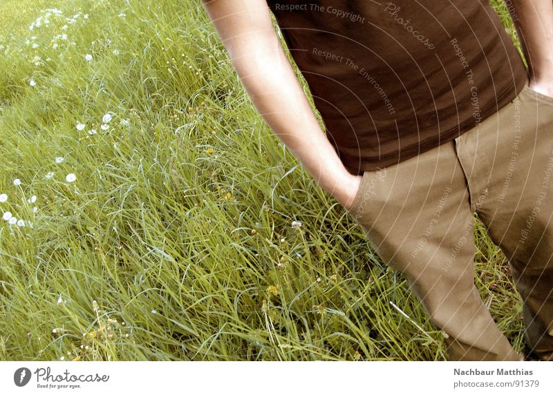 feel free grün Lebensfreude Mann Wiese Erholung ruhig Hoffnung braun Blume Unterleib Freude Glück Jugendliche Natur Freiheit