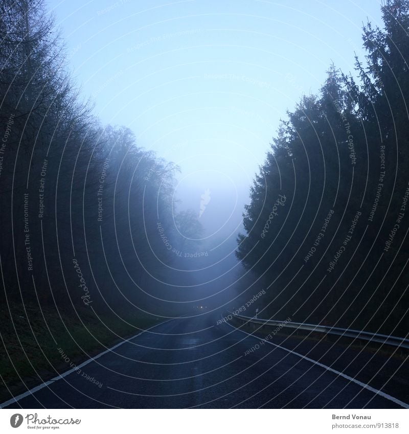 Flucht. Himmel Wetter Nebel Regen Baum Wald Hügel Verkehr Straße PKW Schilder & Markierungen Linie nass blau schwarz weiß Perspektive Autoscheinwerfer