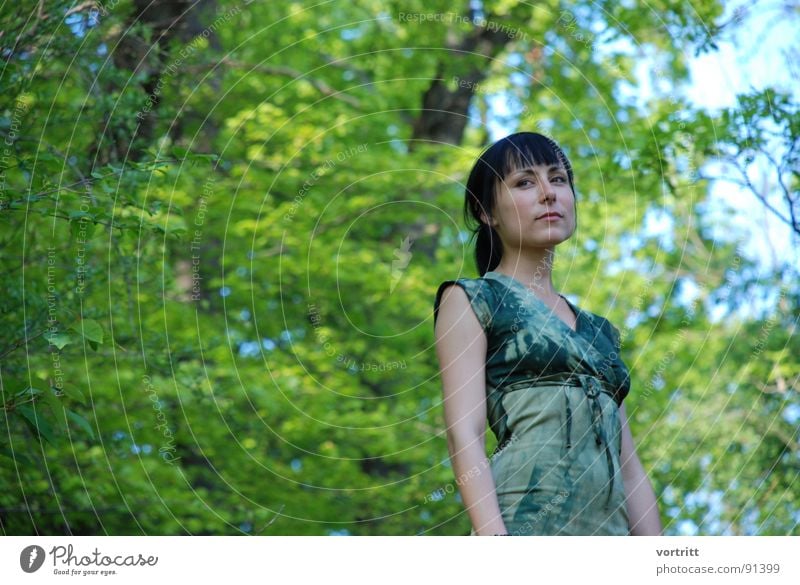 waldelfe Frau Wald schön grün Porträt Baum Märchen Elfe Gesicht Natur Himmel Prinzessin