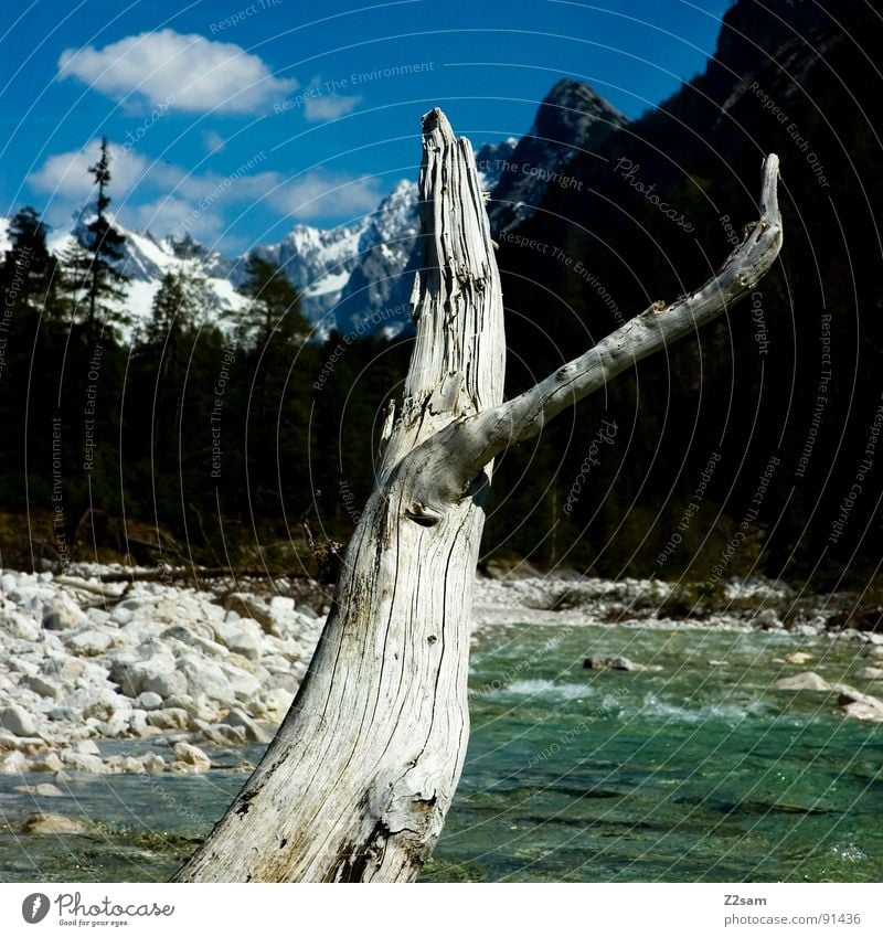 looks like canada Kanada Bayern Bach Wald Baum Gewässer fließen grün Sauberkeit Isar Mittenwald Ferien & Urlaub & Reisen Erholung Wolken Berge u. Gebirge Fluss