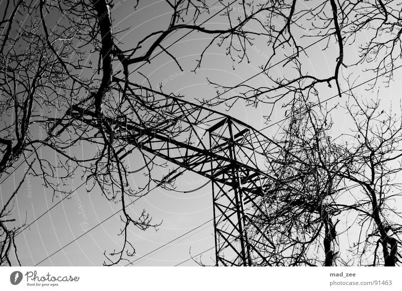 gegensätze... Spielen Strommast einfach Schwarzweißfoto Trauer Verzweiflung Ast Kabel geradlienig Himmel Schönes Wetter