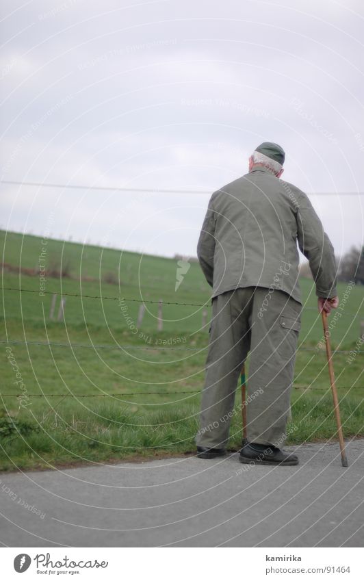 flurfeldwaldwiese Landwirtschaft Spaziergang Stock Gehhilfe Wiese Fußweg wandern unterwegs gehen kakefka alt Wege & Pfade Amerika Gastronomie Außenaufnahme