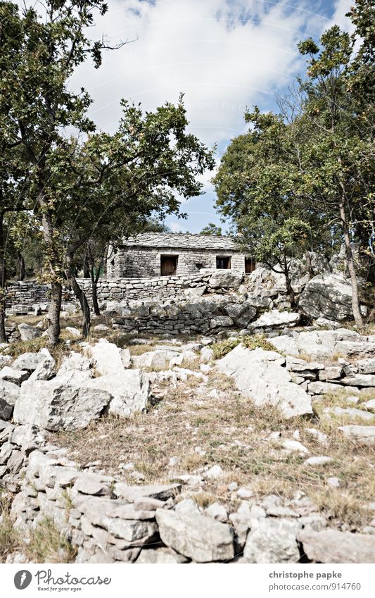 Kleines Eigenheim mit Potential Ferien & Urlaub & Reisen Sommer Sommerurlaub Haus Renovieren Baum Menschenleer Hütte Ruine Gebäude Mauer Wand Stein alt