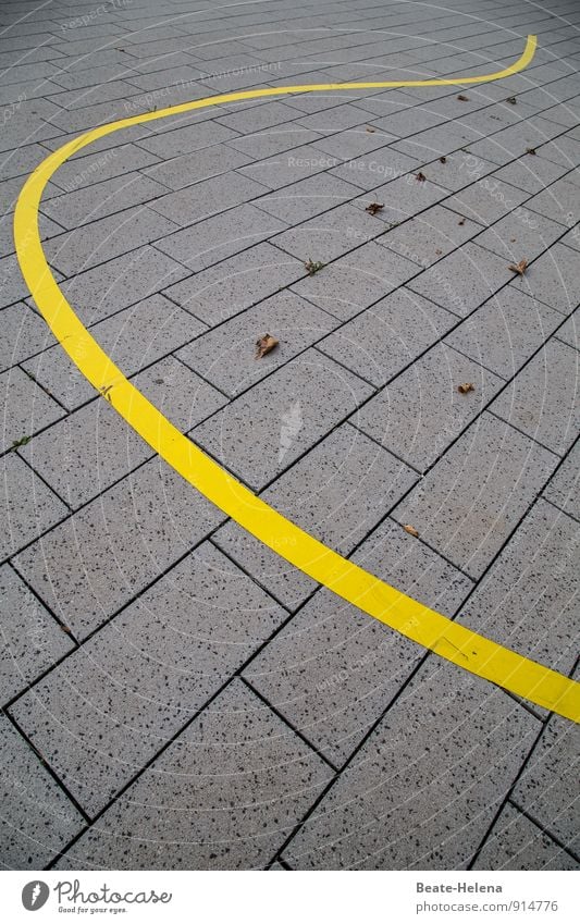 Der Blätterfänger Umwelt Herbst Wetter Pflanze Blatt Wellen Platz Straße Dekoration & Verzierung Zeichen Linie Schleife beobachten fallen fangen leuchten liegen