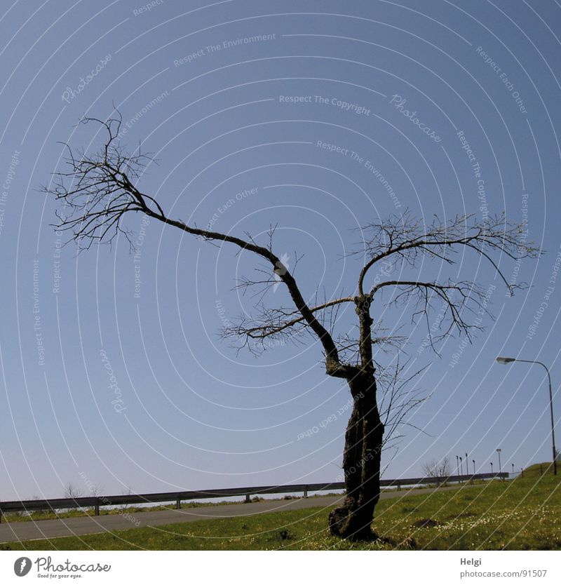 ...bizarr... Farbfoto Gedeckte Farben Außenaufnahme Menschenleer Textfreiraum links Textfreiraum oben Tag Schatten Sonnenlicht Zentralperspektive