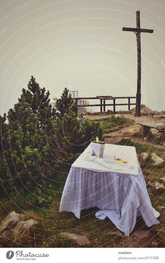 Gipfeltreffen Getränk Sekt Prosecco Flasche Sektglas Pflanze Himmel Wolken Herbst Wetter schlechtes Wetter Nebel Baum Gras Menschenleer Stein Kreuz stehen trist