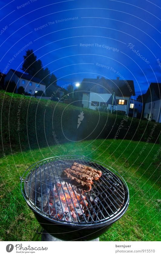 Spätabendgrillen Lebensmittel Fleisch Abendessen Billig gut blau grün Grillen Grillrost Glut Abenddämmerung Garten Hackfleisch Spieß Fleischspieß adana Kebab