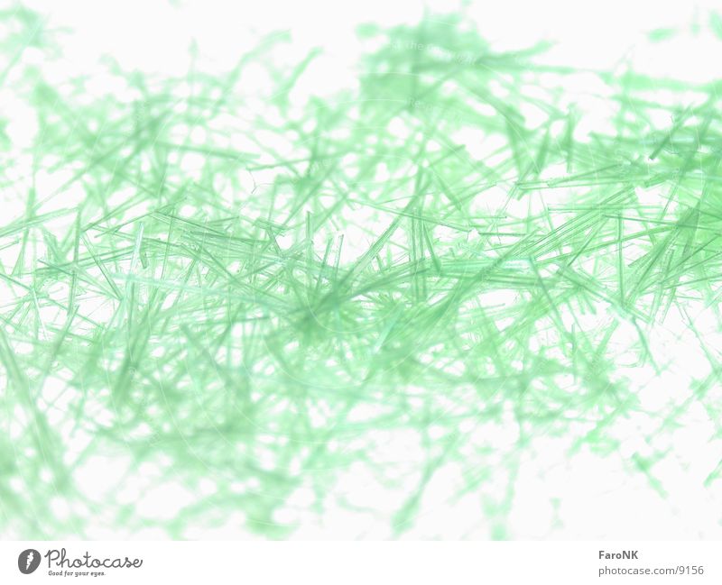 Fasern grün weiß Makroaufnahme Nahaufnahme