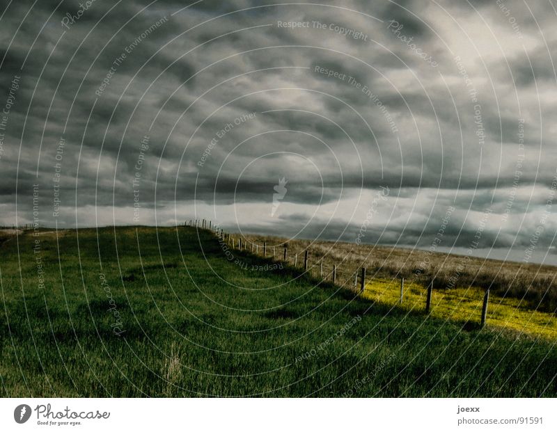 Abgrund abgelegen Feld Angst bedrohlich Wolken dunkel Einsamkeit gelb Gewitterwolken Gras grau grün Horizont Landwirtschaft Lichtstimmung schlechtes Wetter