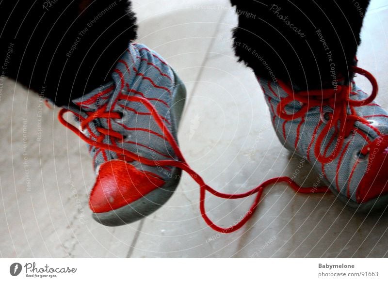 Stolperfalle Schuhe Schuhbänder gefährlich rot gehen fallen bedrohlich blau Stofftier in Kinderschuhe laufen stolpern Respekt